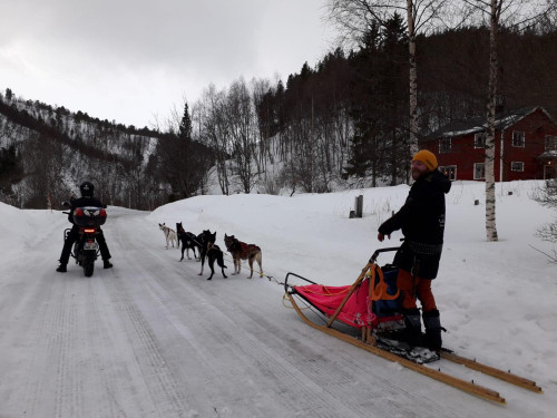 19/02, KORGEN - CERCLE POLAIRE - INNHAVET  335 KM